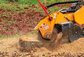 Best Tree Health Inspection  in Berry Hill, TN