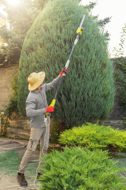 Best Lawn Watering Services  in Berry Hill, TN